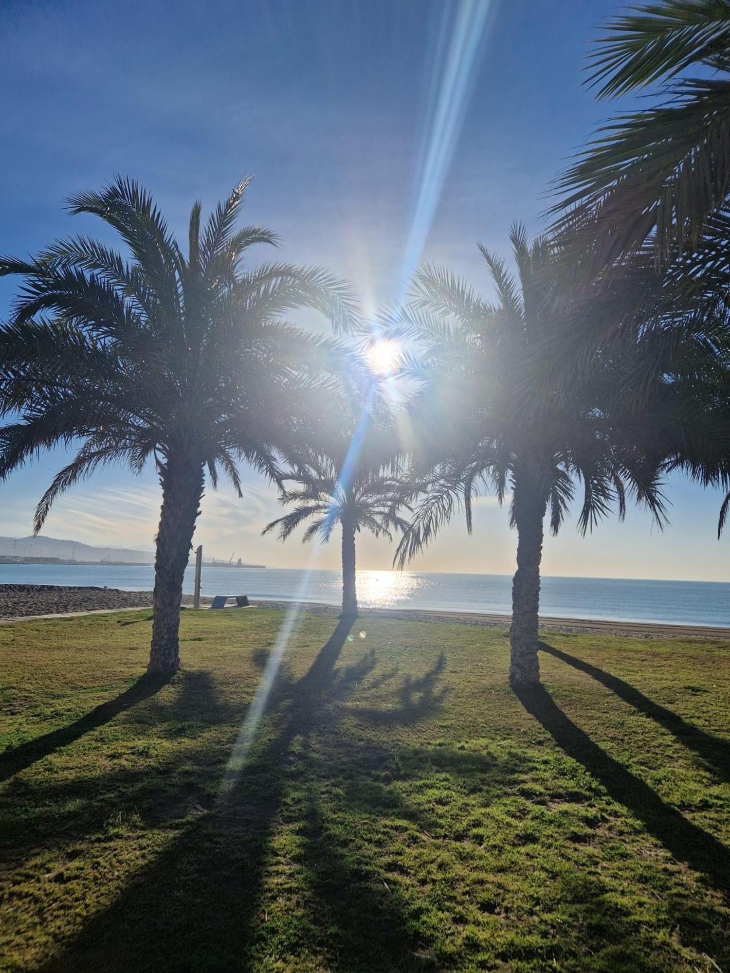 La Maison Del Mar Guest House Malaga Exterior photo